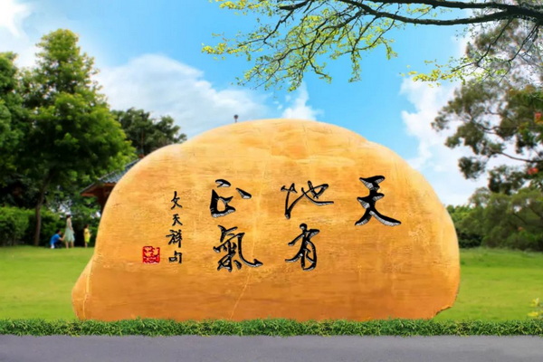 东升国际官网-相信品牌力量