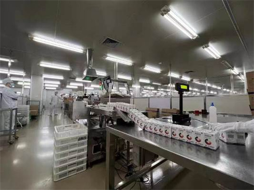 东升国际官网-相信品牌力量