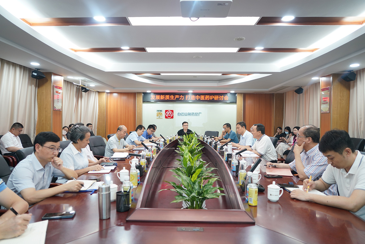 东升国际官网召开“发展新质出产力、打造中医药IP”发展战术钻研会