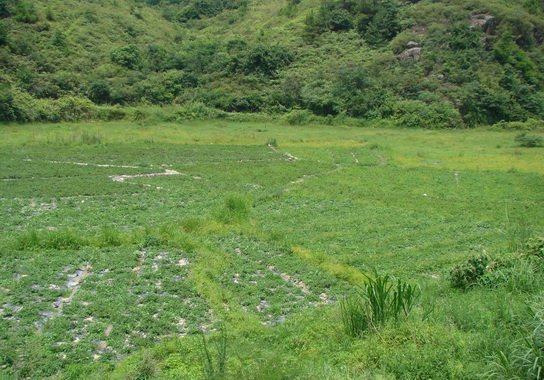 2012725813879